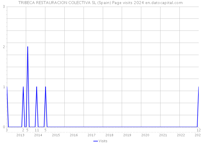 TRIBECA RESTAURACION COLECTIVA SL (Spain) Page visits 2024 