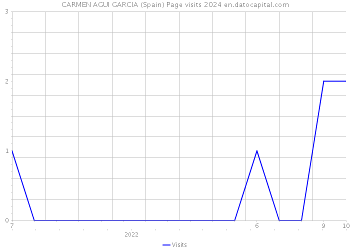 CARMEN AGUI GARCIA (Spain) Page visits 2024 