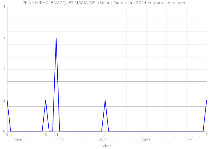 PILAR MIRACLE VAZQUEZ MARIA DEL (Spain) Page visits 2024 