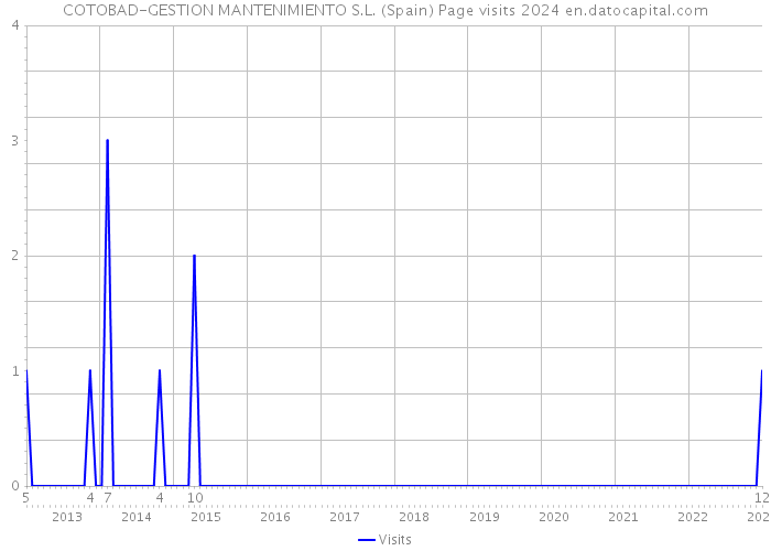 COTOBAD-GESTION MANTENIMIENTO S.L. (Spain) Page visits 2024 