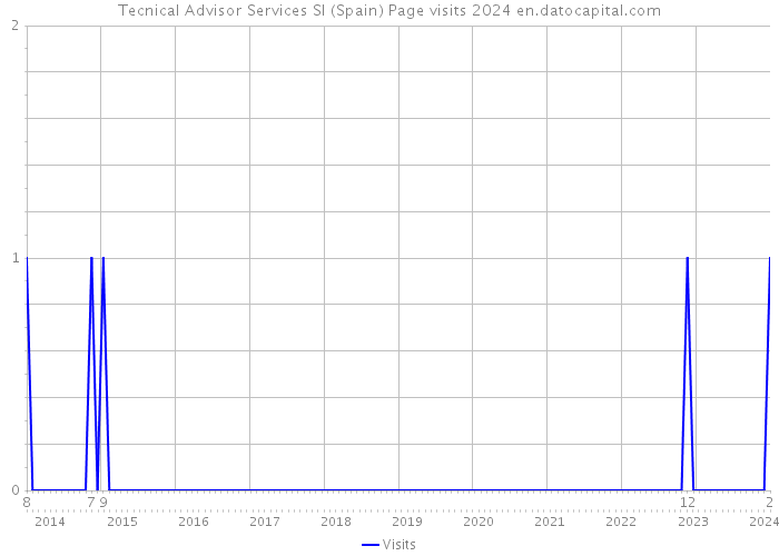 Tecnical Advisor Services Sl (Spain) Page visits 2024 