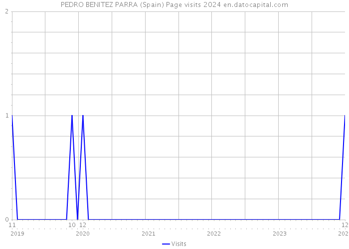 PEDRO BENITEZ PARRA (Spain) Page visits 2024 