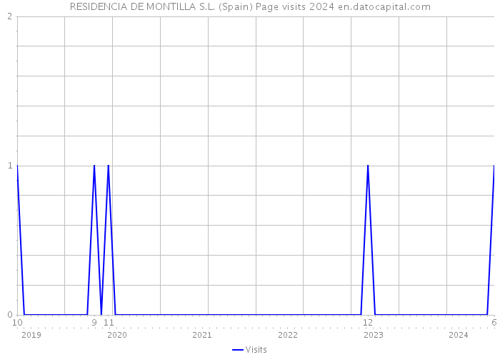 RESIDENCIA DE MONTILLA S.L. (Spain) Page visits 2024 