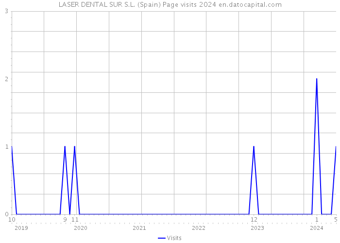 LASER DENTAL SUR S.L. (Spain) Page visits 2024 