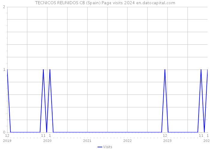 TECNICOS REUNIDOS CB (Spain) Page visits 2024 