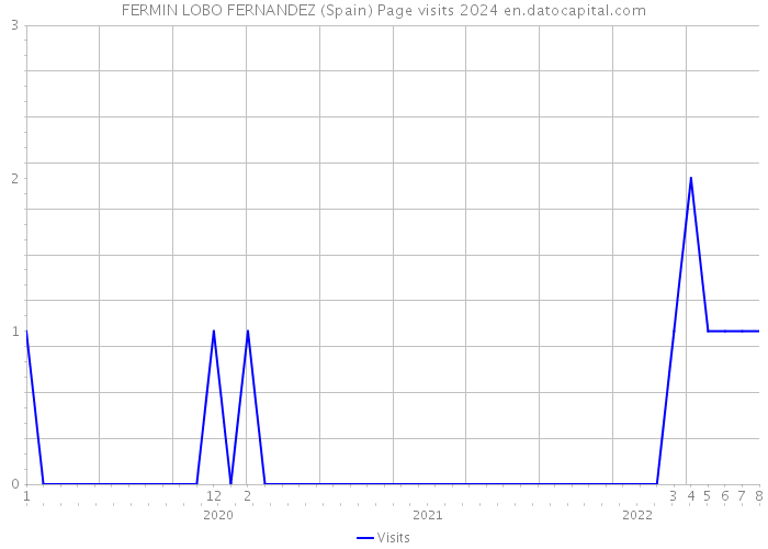FERMIN LOBO FERNANDEZ (Spain) Page visits 2024 