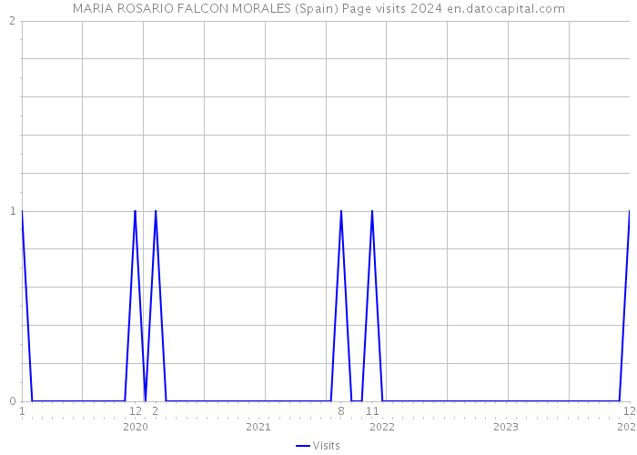 MARIA ROSARIO FALCON MORALES (Spain) Page visits 2024 