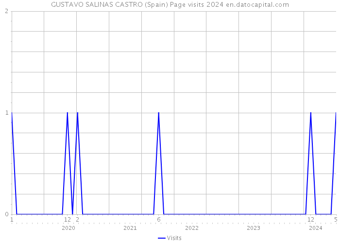 GUSTAVO SALINAS CASTRO (Spain) Page visits 2024 