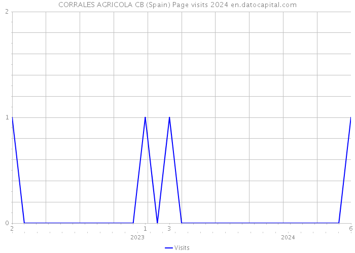 CORRALES AGRICOLA CB (Spain) Page visits 2024 