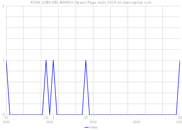 ROSA LOBO DEL BARRIO (Spain) Page visits 2024 