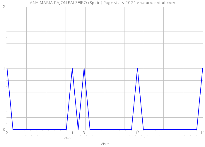 ANA MARIA PAJON BALSEIRO (Spain) Page visits 2024 
