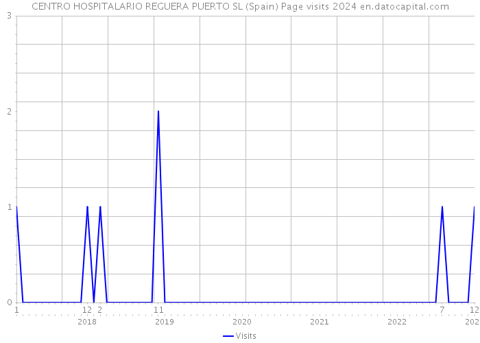CENTRO HOSPITALARIO REGUERA PUERTO SL (Spain) Page visits 2024 