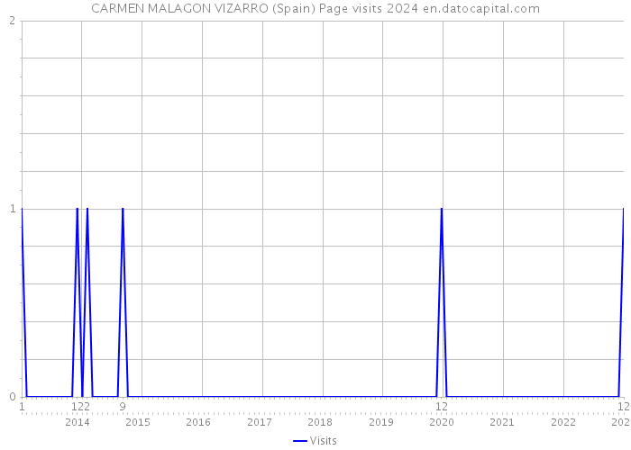 CARMEN MALAGON VIZARRO (Spain) Page visits 2024 