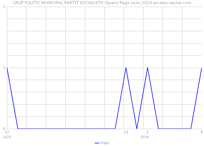 GRUP POLITIC MUNICIPAL PARTIT SOCIALISTA (Spain) Page visits 2024 