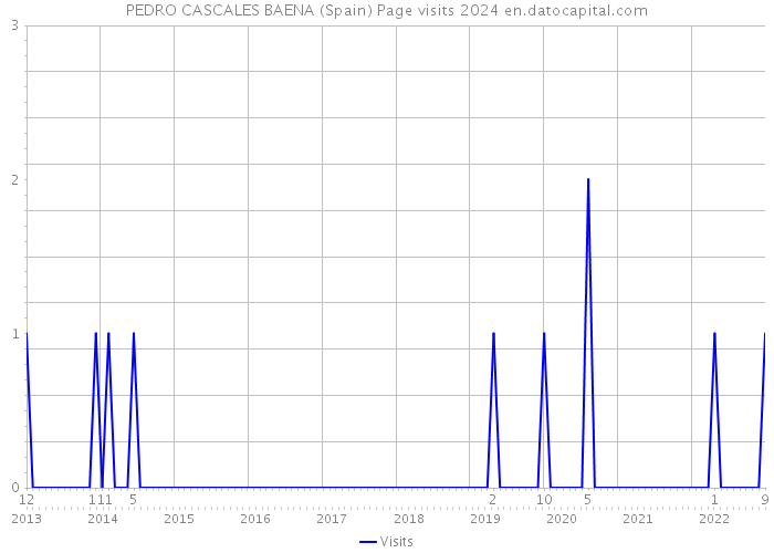 PEDRO CASCALES BAENA (Spain) Page visits 2024 
