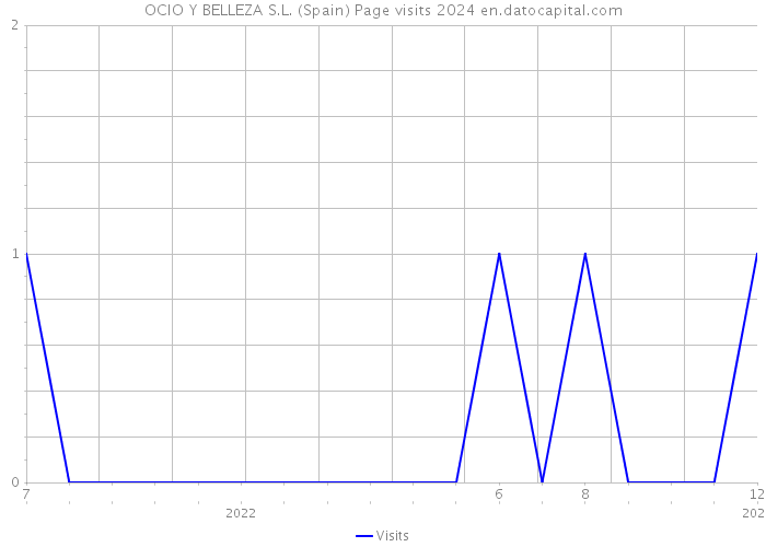 OCIO Y BELLEZA S.L. (Spain) Page visits 2024 