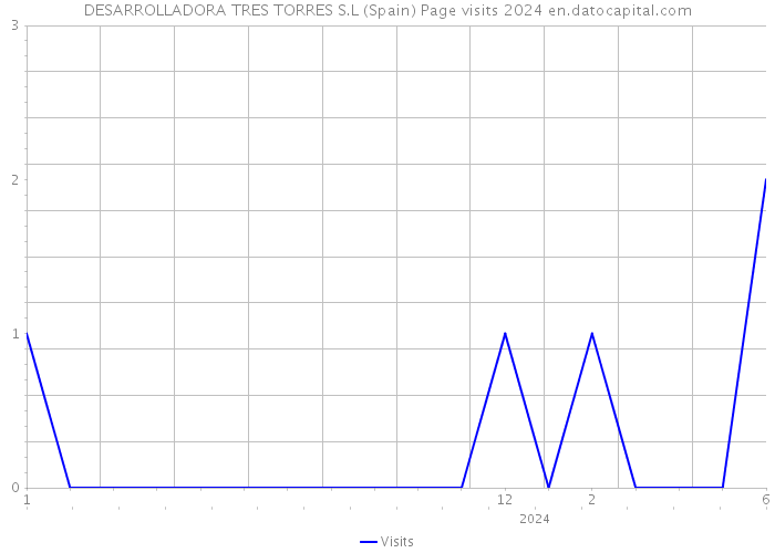 DESARROLLADORA TRES TORRES S.L (Spain) Page visits 2024 