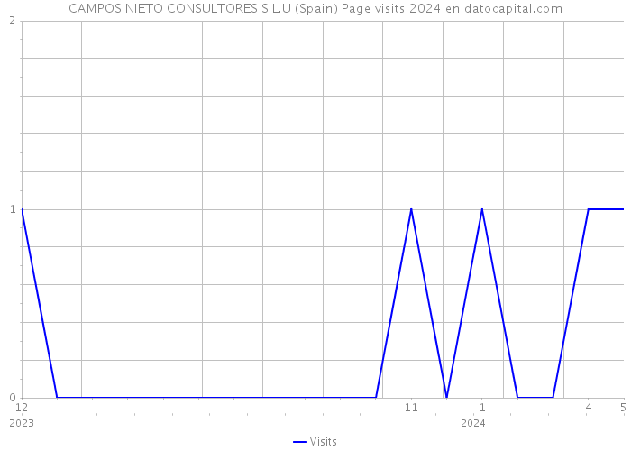 CAMPOS NIETO CONSULTORES S.L.U (Spain) Page visits 2024 