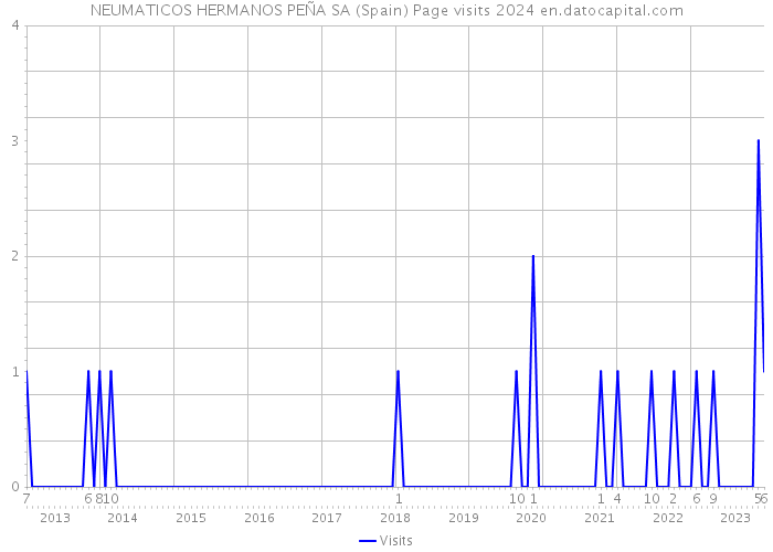 NEUMATICOS HERMANOS PEÑA SA (Spain) Page visits 2024 