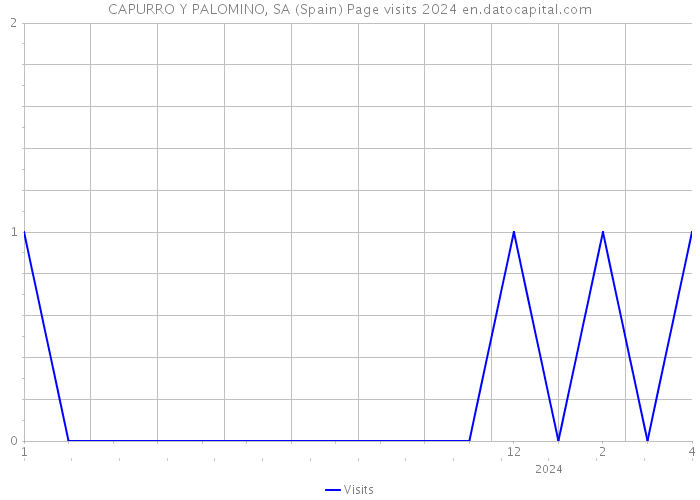 CAPURRO Y PALOMINO, SA (Spain) Page visits 2024 