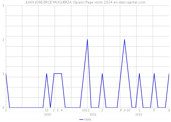 JUAN JOSE ERCE MUGUERZA (Spain) Page visits 2024 