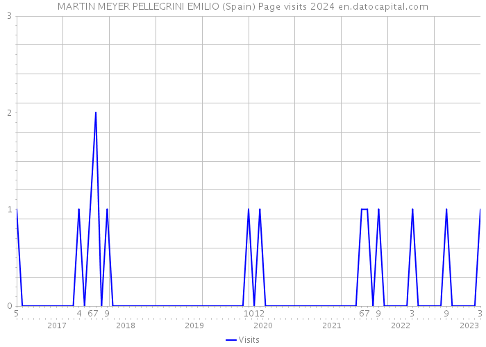 MARTIN MEYER PELLEGRINI EMILIO (Spain) Page visits 2024 