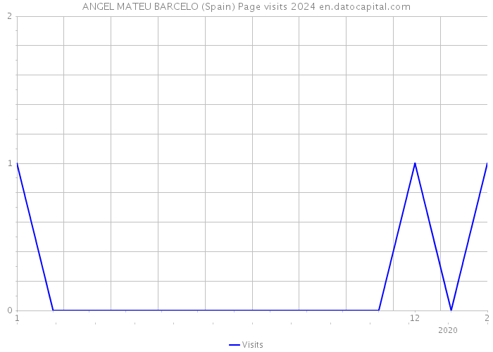 ANGEL MATEU BARCELO (Spain) Page visits 2024 