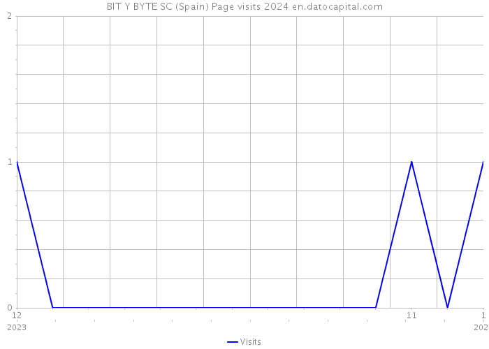 BIT Y BYTE SC (Spain) Page visits 2024 