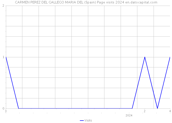 CARMEN PEREZ DEL GALLEGO MARIA DEL (Spain) Page visits 2024 