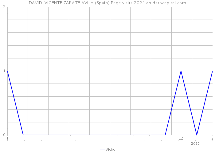 DAVID-VICENTE ZARATE AVILA (Spain) Page visits 2024 