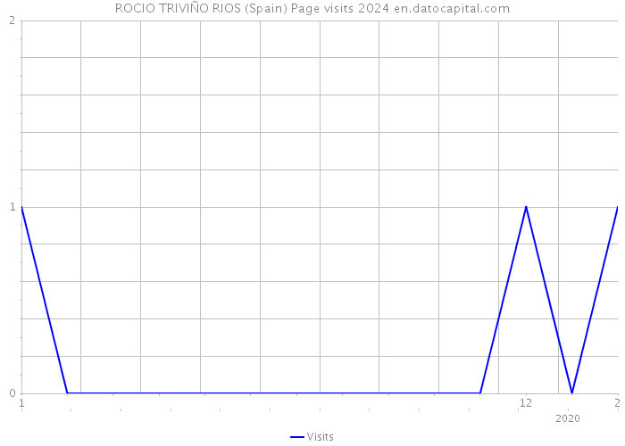 ROCIO TRIVIÑO RIOS (Spain) Page visits 2024 