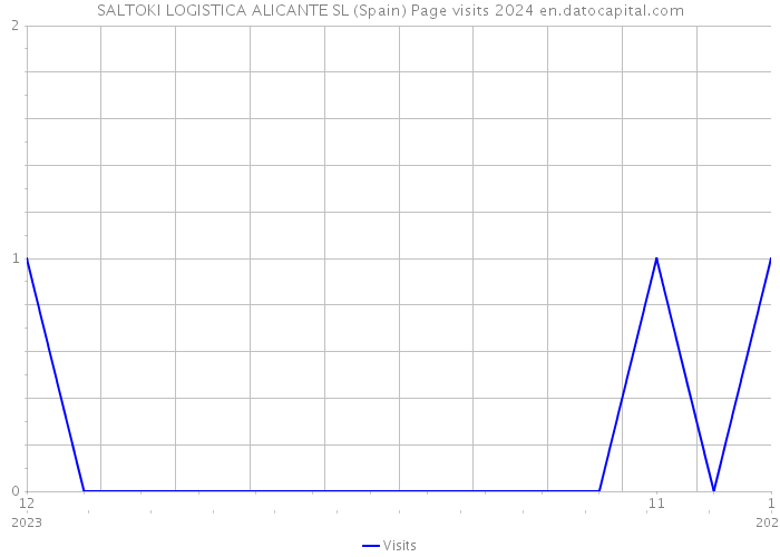 SALTOKI LOGISTICA ALICANTE SL (Spain) Page visits 2024 