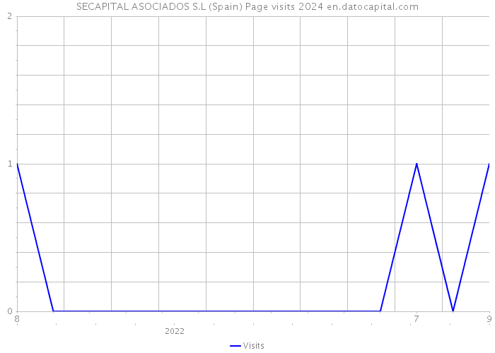 SECAPITAL ASOCIADOS S.L (Spain) Page visits 2024 