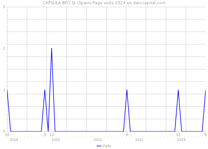 CAPSULA BPO SL (Spain) Page visits 2024 