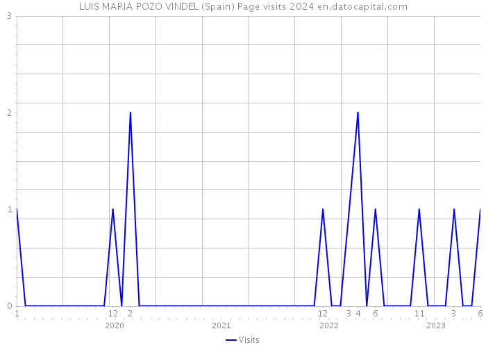 LUIS MARIA POZO VINDEL (Spain) Page visits 2024 