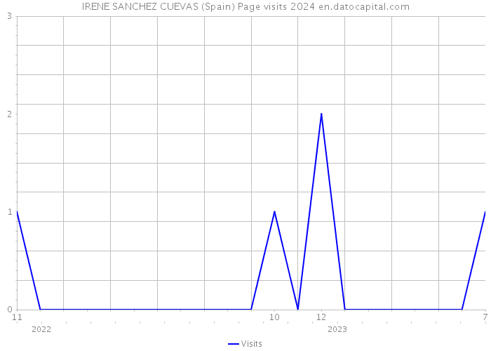 IRENE SANCHEZ CUEVAS (Spain) Page visits 2024 