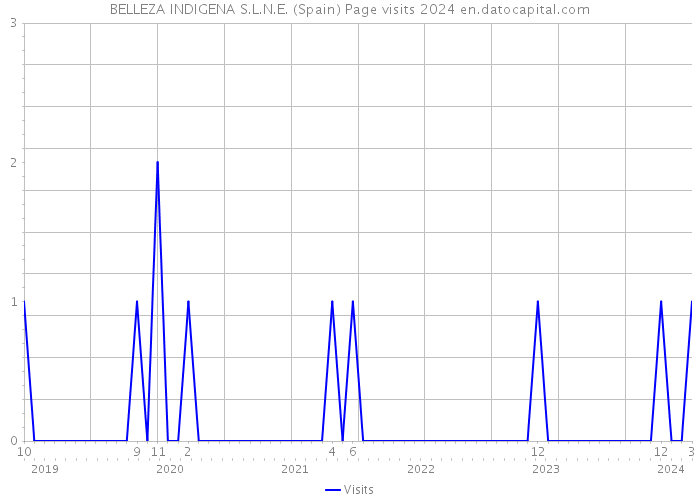 BELLEZA INDIGENA S.L.N.E. (Spain) Page visits 2024 