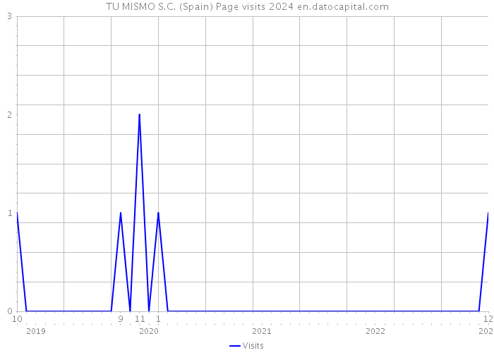 TU MISMO S.C. (Spain) Page visits 2024 