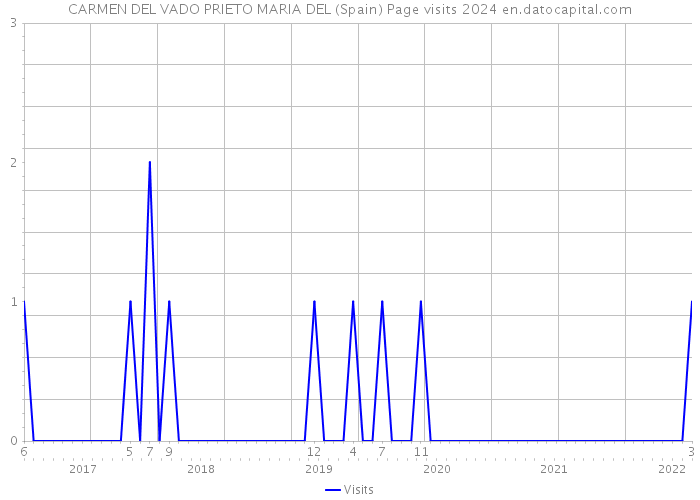 CARMEN DEL VADO PRIETO MARIA DEL (Spain) Page visits 2024 