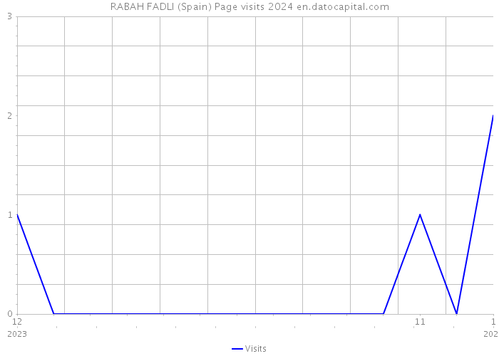 RABAH FADLI (Spain) Page visits 2024 