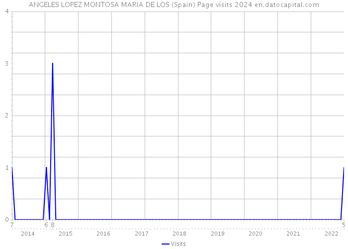 ANGELES LOPEZ MONTOSA MARIA DE LOS (Spain) Page visits 2024 