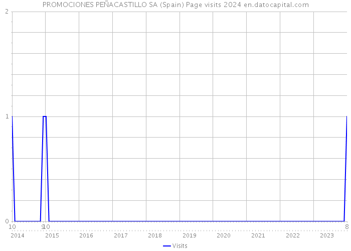 PROMOCIONES PEÑACASTILLO SA (Spain) Page visits 2024 