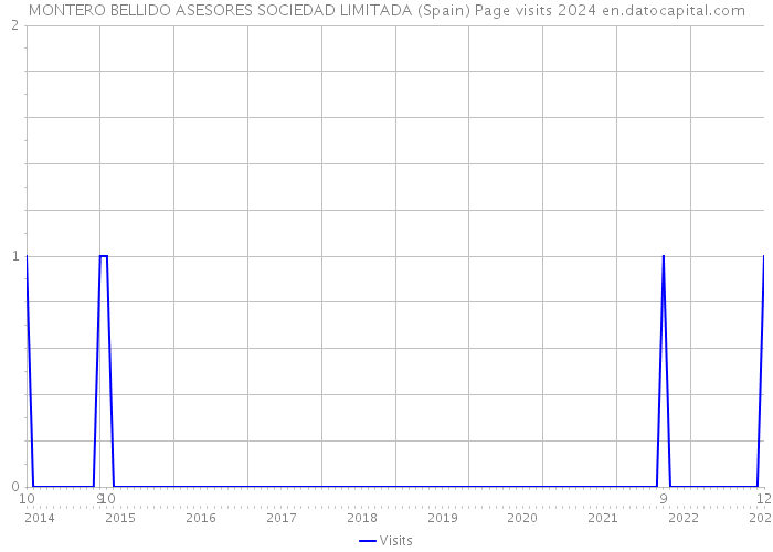 MONTERO BELLIDO ASESORES SOCIEDAD LIMITADA (Spain) Page visits 2024 