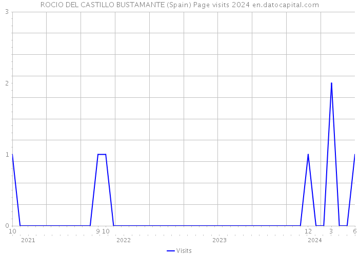 ROCIO DEL CASTILLO BUSTAMANTE (Spain) Page visits 2024 