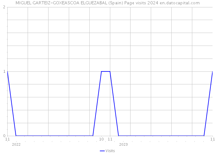 MIGUEL GARTEIZ-GOXEASCOA ELGUEZABAL (Spain) Page visits 2024 