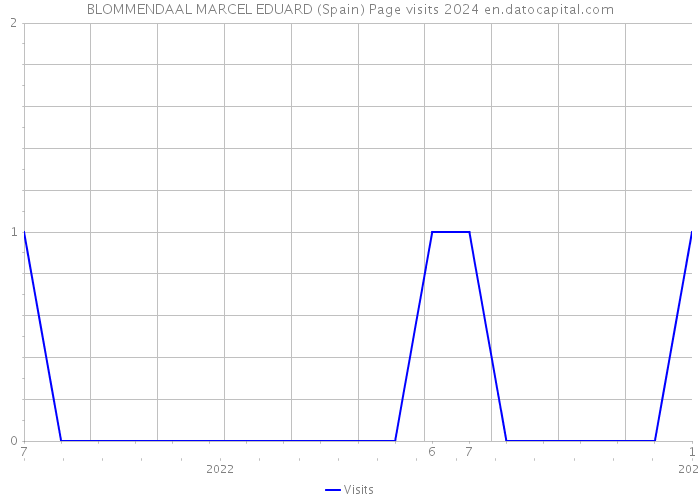 BLOMMENDAAL MARCEL EDUARD (Spain) Page visits 2024 