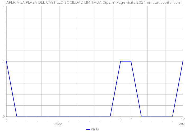 TAPERIA LA PLAZA DEL CASTILLO SOCIEDAD LIMITADA (Spain) Page visits 2024 