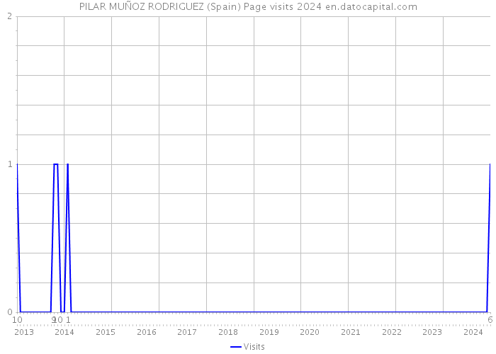 PILAR MUÑOZ RODRIGUEZ (Spain) Page visits 2024 