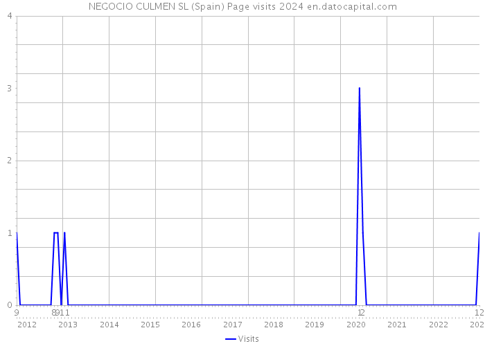 NEGOCIO CULMEN SL (Spain) Page visits 2024 