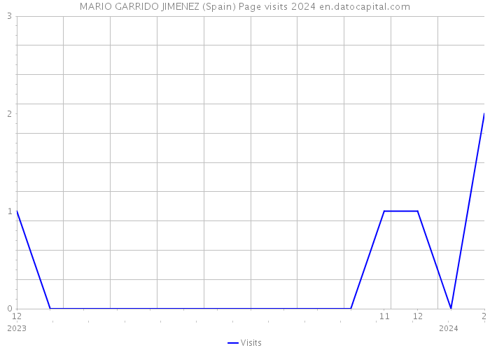 MARIO GARRIDO JIMENEZ (Spain) Page visits 2024 